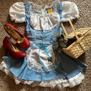 Dorothy Wizard of Oz costume bundle